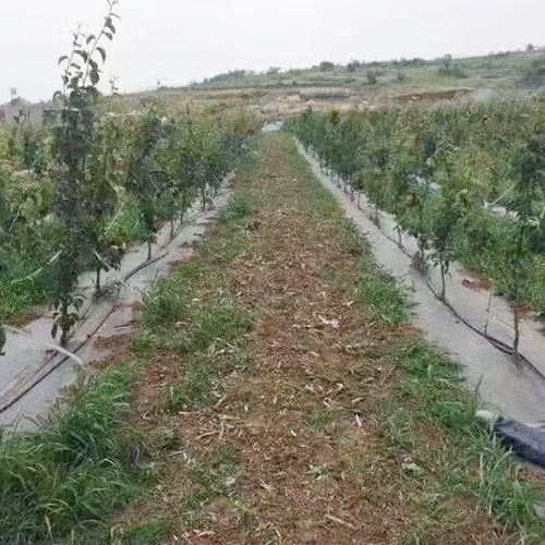 防草�?
